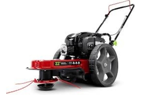 Earthquake Walk Behind String Trimmer