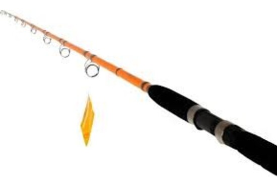 Catfish Pro Tournament Series Rod